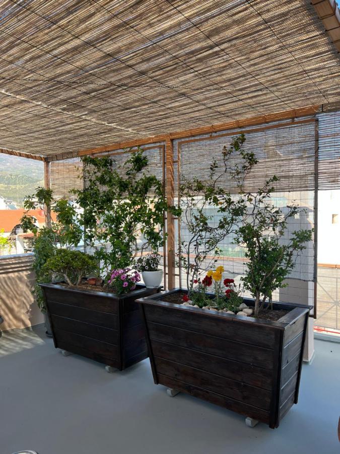 Apartament Away From