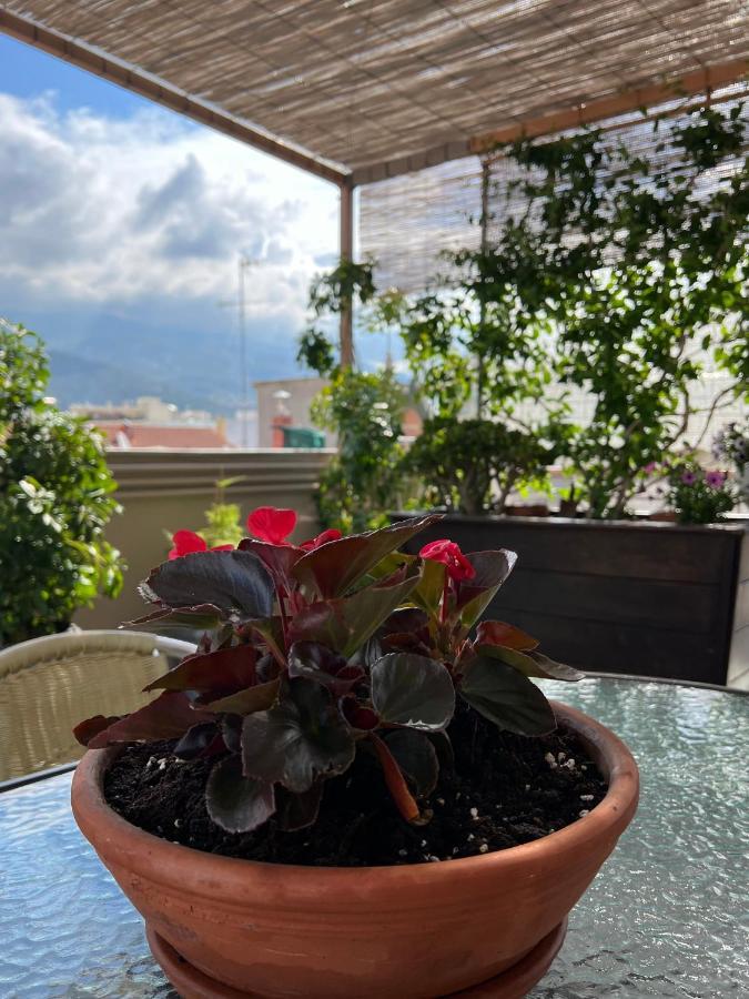 Apartament Away From Wolos