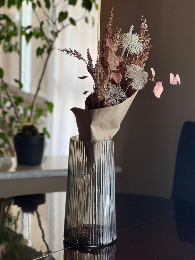Away From Apartament
